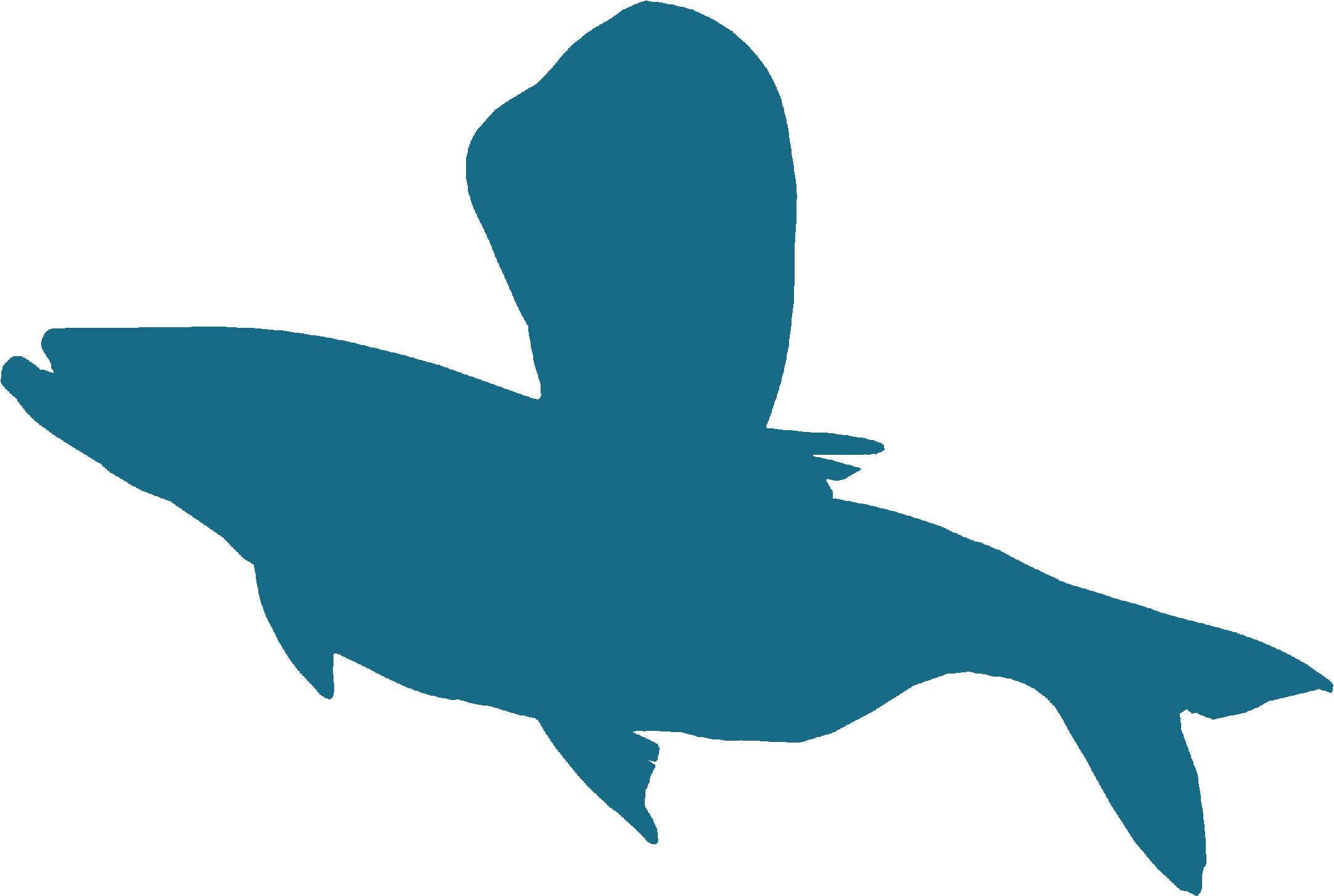 Zostań Wędkarzem logo